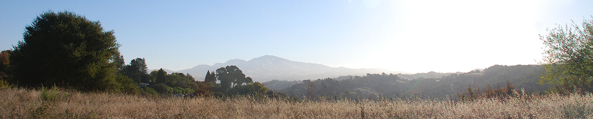 Lafayete Hills